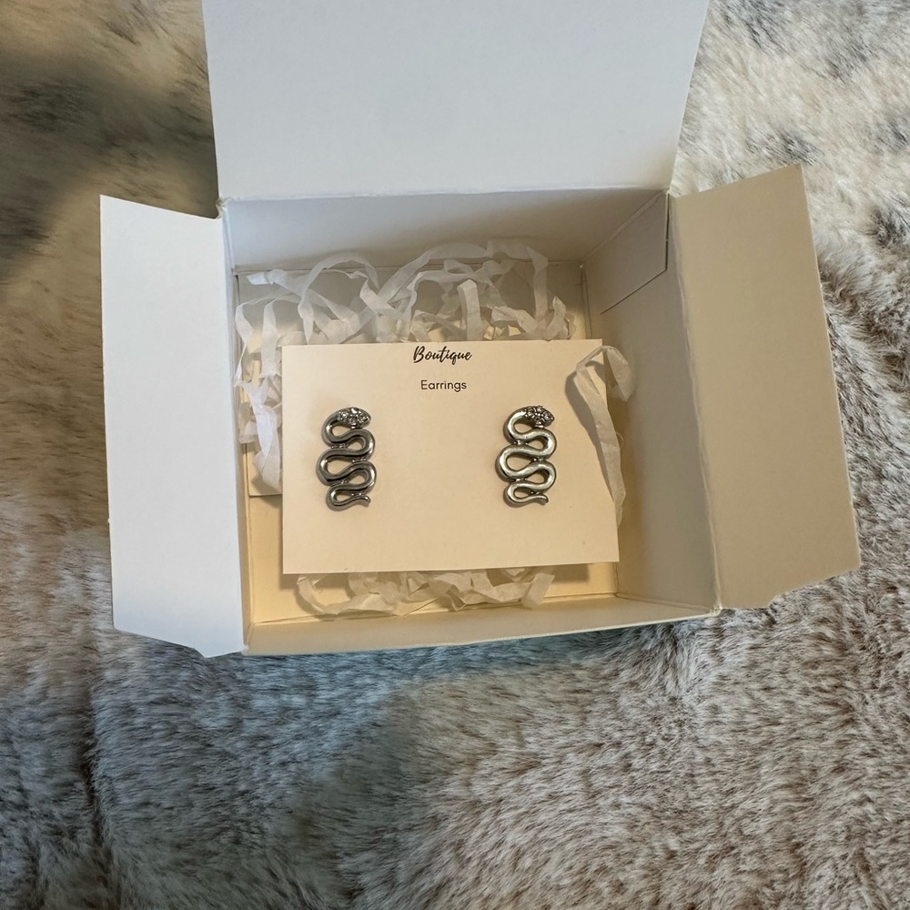 American Eagle | Silver Snake Earrings